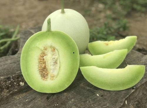 冰激凌玉菇瓜怎么吃,夏日清凉新吃法，美味与营养兼得