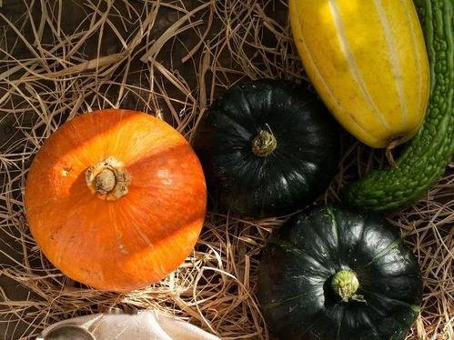 晚上吃生瓜,探寻夜晚美食的独特魅力