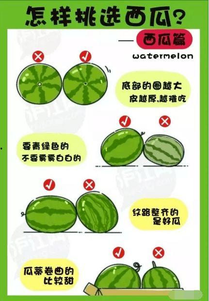 你们都是怎么吃的瓜,揭秘各大平台瓜子的独特吃法