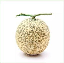 优雅的吃瓜方法,解锁优雅吃瓜新姿势