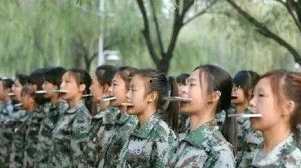 浙江教官吃瓜事件,校园风波背后的真相与反思