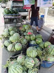 兖州西城吃瓜事件,一场引发热议的街头冲突纪实