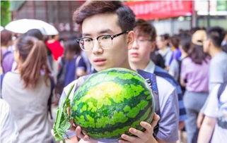 吃瓜学校炸裂,揭秘校园风云背后的真相