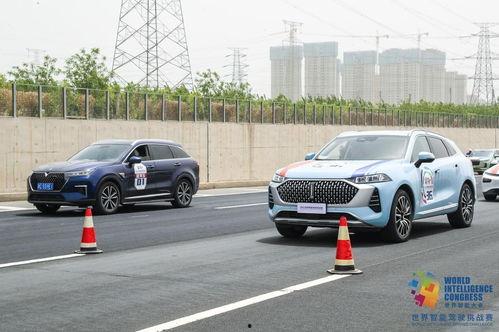 摩卡吃瓜,揭秘娱乐圈的甜蜜与苦涩