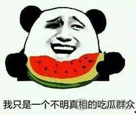 准备吃瓜韩文,韩流文化中的新现象