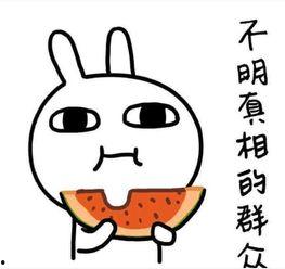 吃瓜女孩搞笑文案图片,吃瓜女孩的搞笑文案大盘点