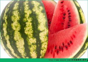 带领大家每日吃瓜,跟随我们一起探索娱乐圈的精彩瞬间