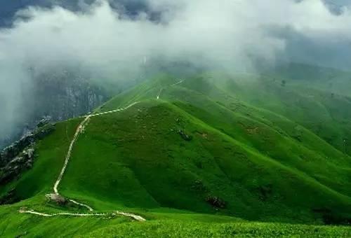 武功山吃瓜事件,一场网络热议背后的真相与反思