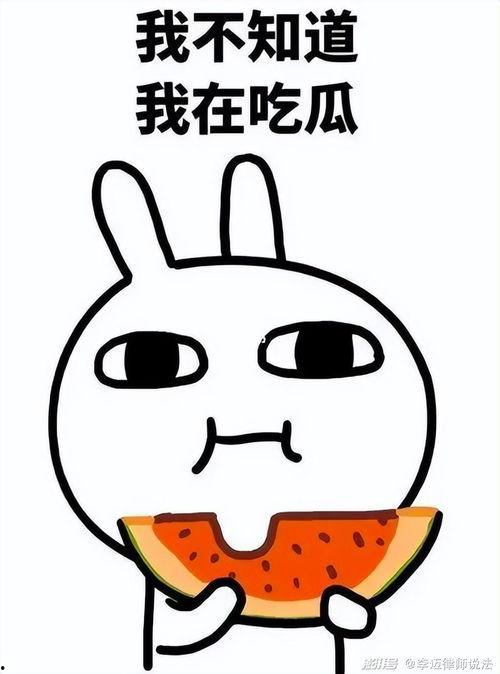 吃瓜729事件,揭秘网络舆论背后的真相与争议