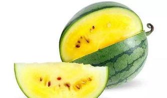 吃瓜工具哪个好,吃瓜工具哪家强，一篇文章告诉你！