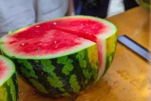 城学院吃瓜,揭秘校园吃瓜背后的故事