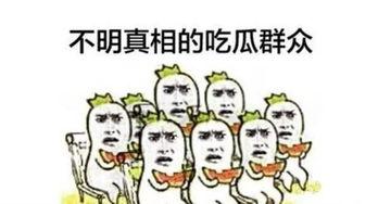 吃瓜群众走作文,见证时代变迁的旁观者