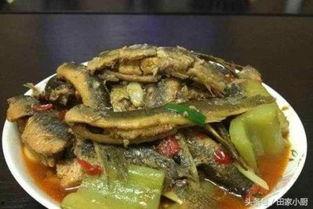 泥鳅吃瓜吗,探究它们是否吃瓜的秘密