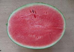 吃玲珑瓜,夏日消暑美食，清新口感尽享清凉时光