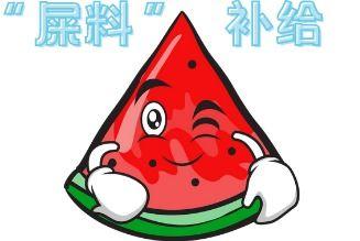 吃瓜失败现场,一场尴尬的瓜界“翻车”事件