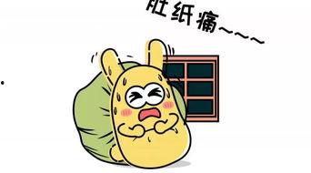 吃瓜群众982,网络红人的崛起之路