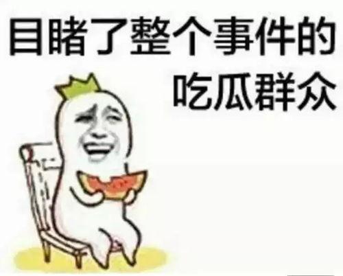 带你吃瓜课本,揭秘课本中的趣味故事与知识