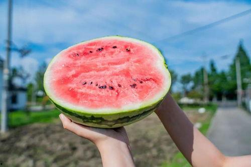 新吃瓜824,揭秘娱乐圈最新热点事件