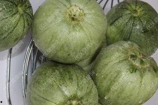 孕妇吃瓜叶好吗,孕妇适量吃瓜叶有益健康