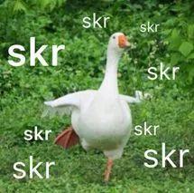 吃瓜造句,吃瓜群众视角下的娱乐圈风云