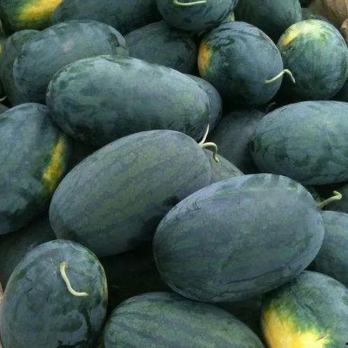 哪个国家吃瓜最好,体验不一样的文化盛宴