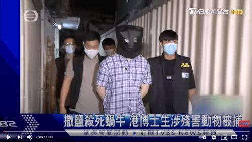 吃瓜偷情被杀,一场偷情的致命代价