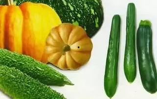 夏瓜减肥怎么吃,夏日轻盈饮食新主张