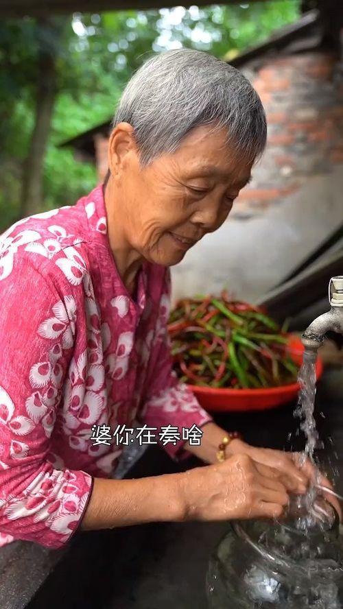 俄罗斯奶奶吃酸瓜,传承与回忆