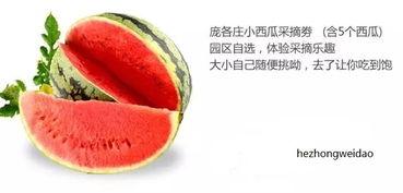 崽子吃瓜只吃中间,崽子独爱瓜心滋味