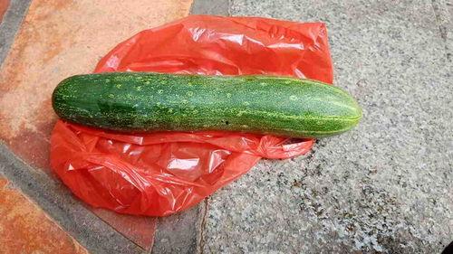 什么瓜可以吃啊