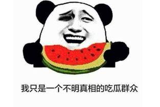 吃瓜什么意思追星,揭秘娱乐圈的甜蜜与苦涩