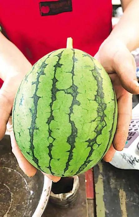 青岛吃瓜站,揭秘青岛美食圈的热辣新鲜事