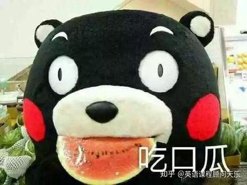 吃瓜吃的很干净怎么形容