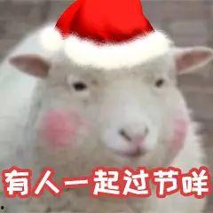 小羊吃瓜头像,趣味横生的田园生活瞬间