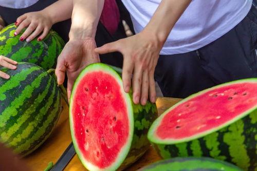 北京民航学校吃瓜,揭秘校园里的“瓜香四溢”