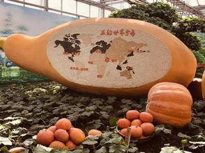 广石油吃瓜,揭秘背后真相与行业影响