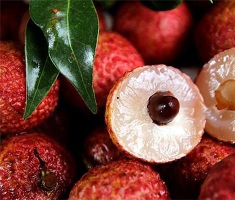 男友吃瓜荔枝小说,男友的瓜果小说之旅