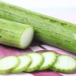 瓜肥虫可以吃,探索昆虫与蔬菜的完美融合