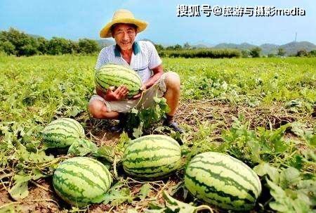 桥下吃瓜米,夏日休闲好去处