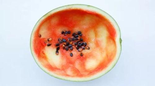 恒星吃瓜记,一场星际间的奇幻冒险