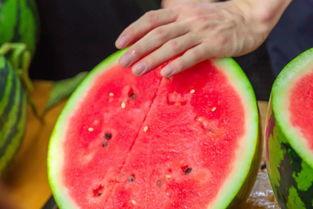 晋江吃瓜海南一直想改名,海南改名风波，吃瓜群众纷纷发声